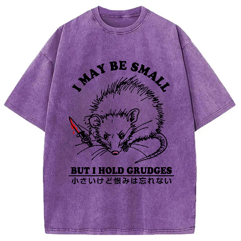 Tokyo-Assassin Mouse Holds A Grudge Funny Washed T-Shirt-Tokyo-Assassin