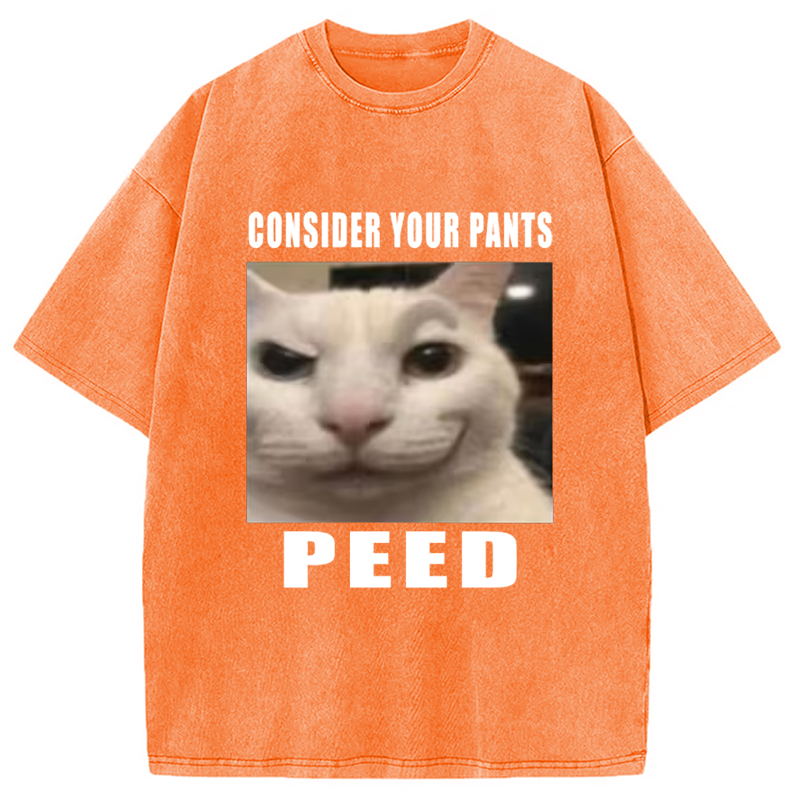Tokyo-Assassin Consider Your Pants Peed Meme Washed T-Shirt-Tokyo-Assassin