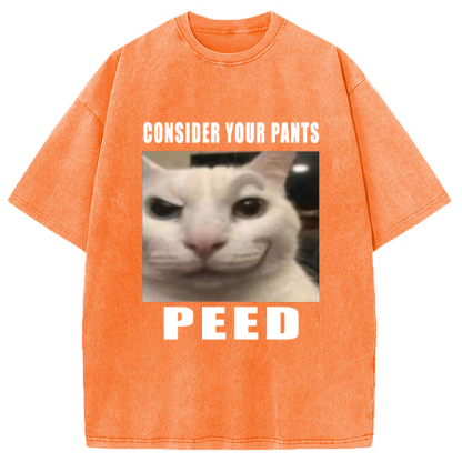 Tokyo-Assassin Consider Your Pants Peed Meme Washed T-Shirt-Tokyo-Assassin