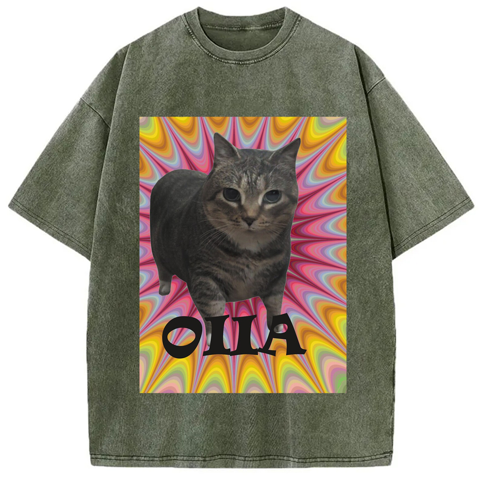 Tokyo-Assassin Oiia Cat Meme Washed T-Shirt-Tokyo-Assassin