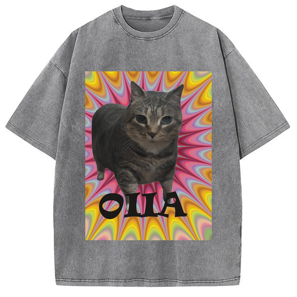 Tokyo-Assassin Oiia Cat Meme Washed T-Shirt-Tokyo-Assassin