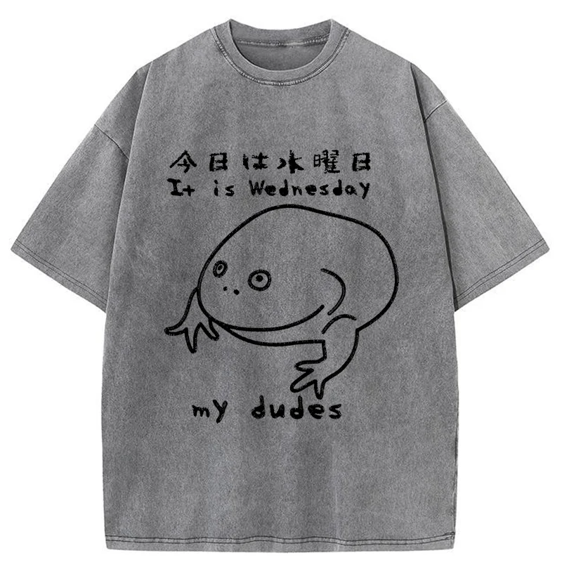 Tokyo-Assassin Today Is Wednesday Washed T-Shirt-Tokyo-Assassin