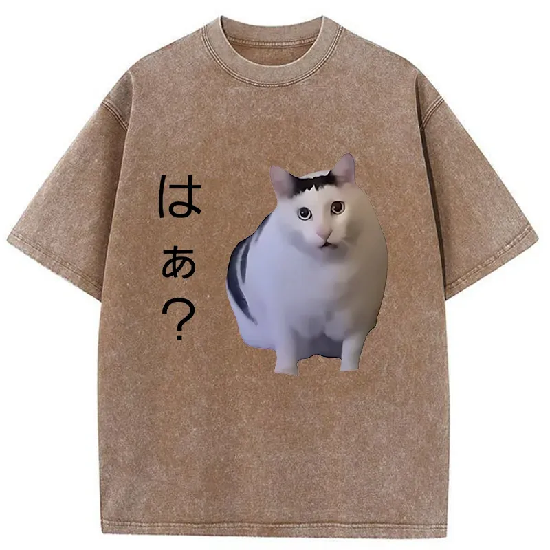 Tokyo-Assassin Suspicious Funny Cat Washed T-Shirt-Tokyo-Assassin