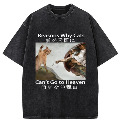 Tokyo-Assassin Naughty Cat Can't Go To Heaven Washed T-Shirt-Tokyo-Assassin