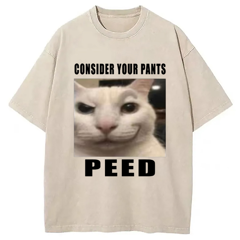 Tokyo-Assassin Consider Your Pants Peed Meme Washed T-Shirt-Tokyo-Assassin
