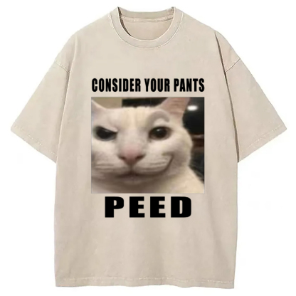 Tokyo-Assassin Consider Your Pants Peed Meme Washed T-Shirt-Tokyo-Assassin