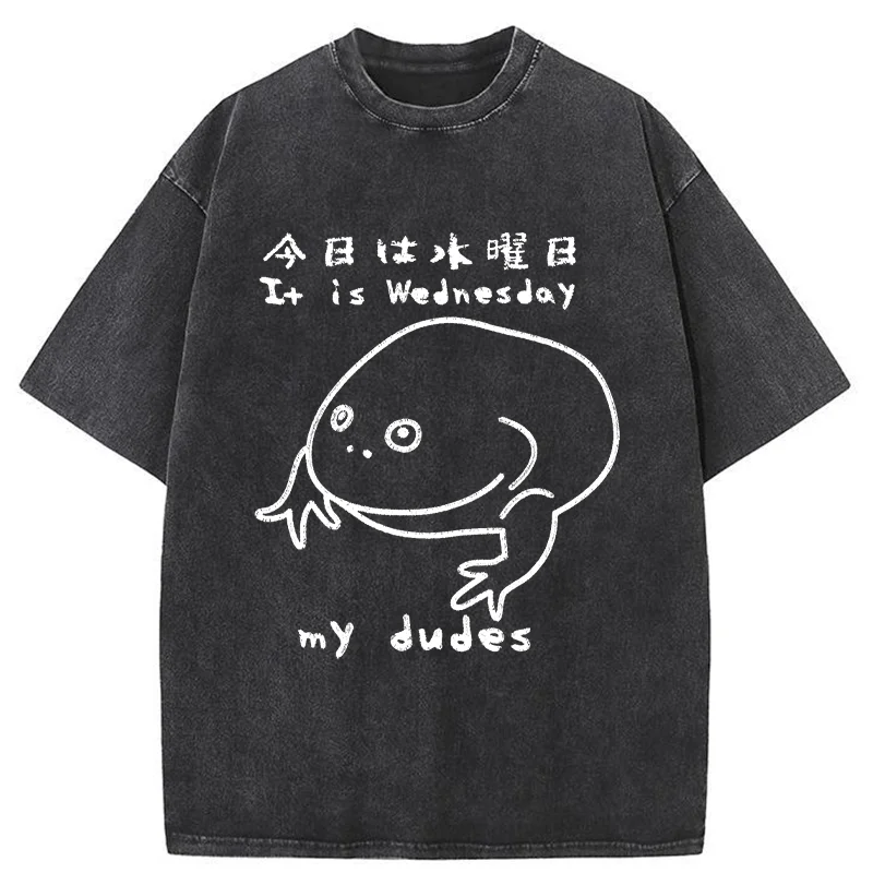 Tokyo-Assassin Today Is Wednesday Washed T-Shirt-Tokyo-Assassin
