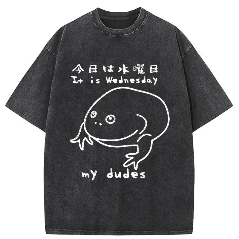 Tokyo-Assassin Today Is Wednesday Washed T-Shirt-Tokyo-Assassin