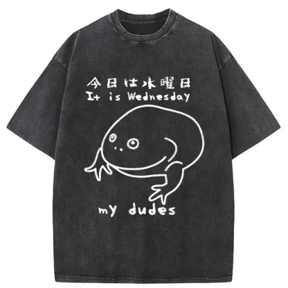 Tokyo-Assassin Today Is Wednesday Washed T-Shirt-Tokyo-Assassin