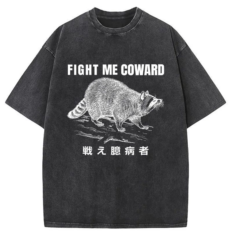 Tokyo-Assassin Fight Raccoon Japanese Washed T-Shirt-Tokyo-Assassin