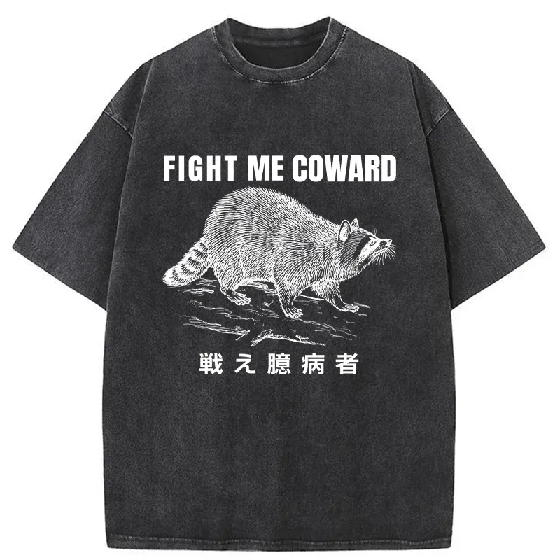 Tokyo-Assassin Fight Raccoon Japanese Washed T-Shirt-Tokyo-Assassin