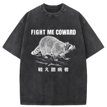 Tokyo-Assassin Fight Raccoon Japanese Washed T-Shirt-Tokyo-Assassin