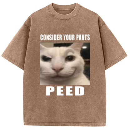 Tokyo-Assassin Consider Your Pants Peed Meme Washed T-Shirt-Tokyo-Assassin
