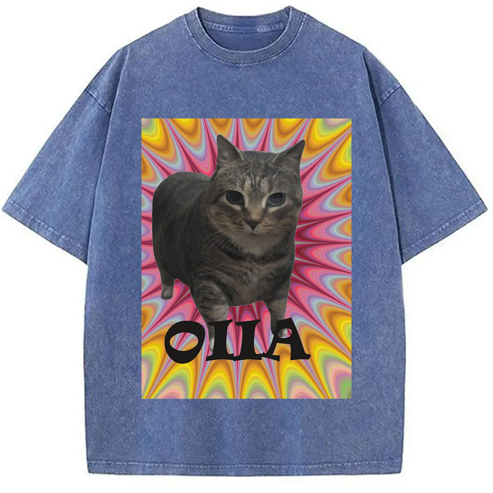 Tokyo-Assassin Oiia Cat Meme Washed T-Shirt-Tokyo-Assassin
