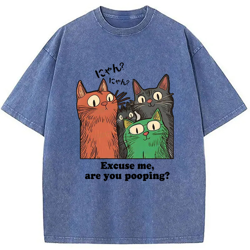 Tokyo-Assassin Cats Watching Poop Washed T-Shirt-Tokyo-Assassin
