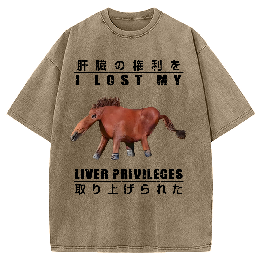 I Lost My Liver Privileges Vintage Washed T-shirt