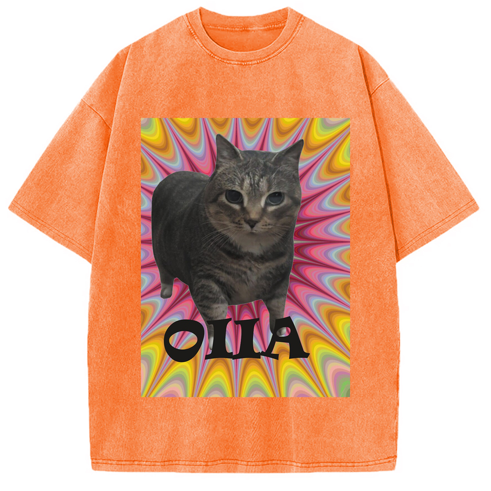 Tokyo-Assassin Oiia Cat Meme Washed T-Shirt-Tokyo-Assassin