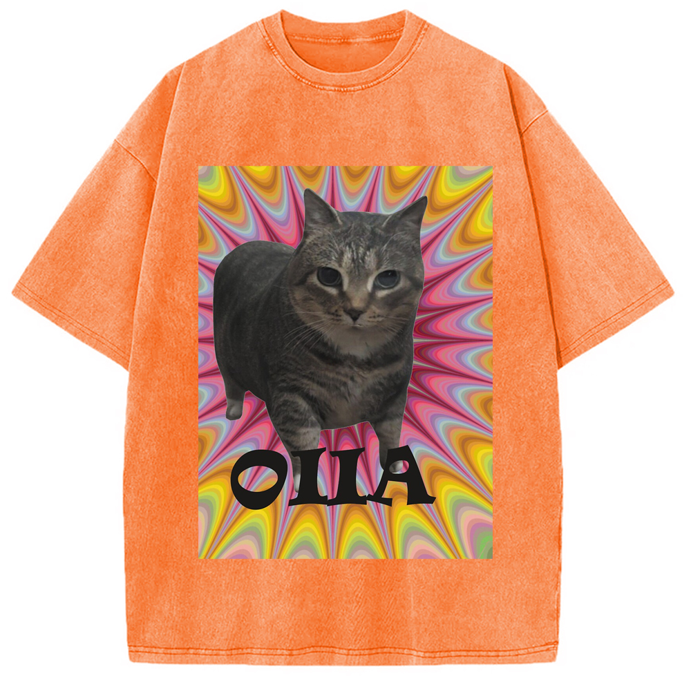 Tokyo-Assassin Oiia Cat Meme Washed T-Shirt-Tokyo-Assassin