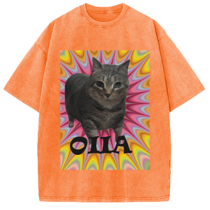 Tokyo-Assassin Oiia Cat Meme Washed T-Shirt-Tokyo-Assassin