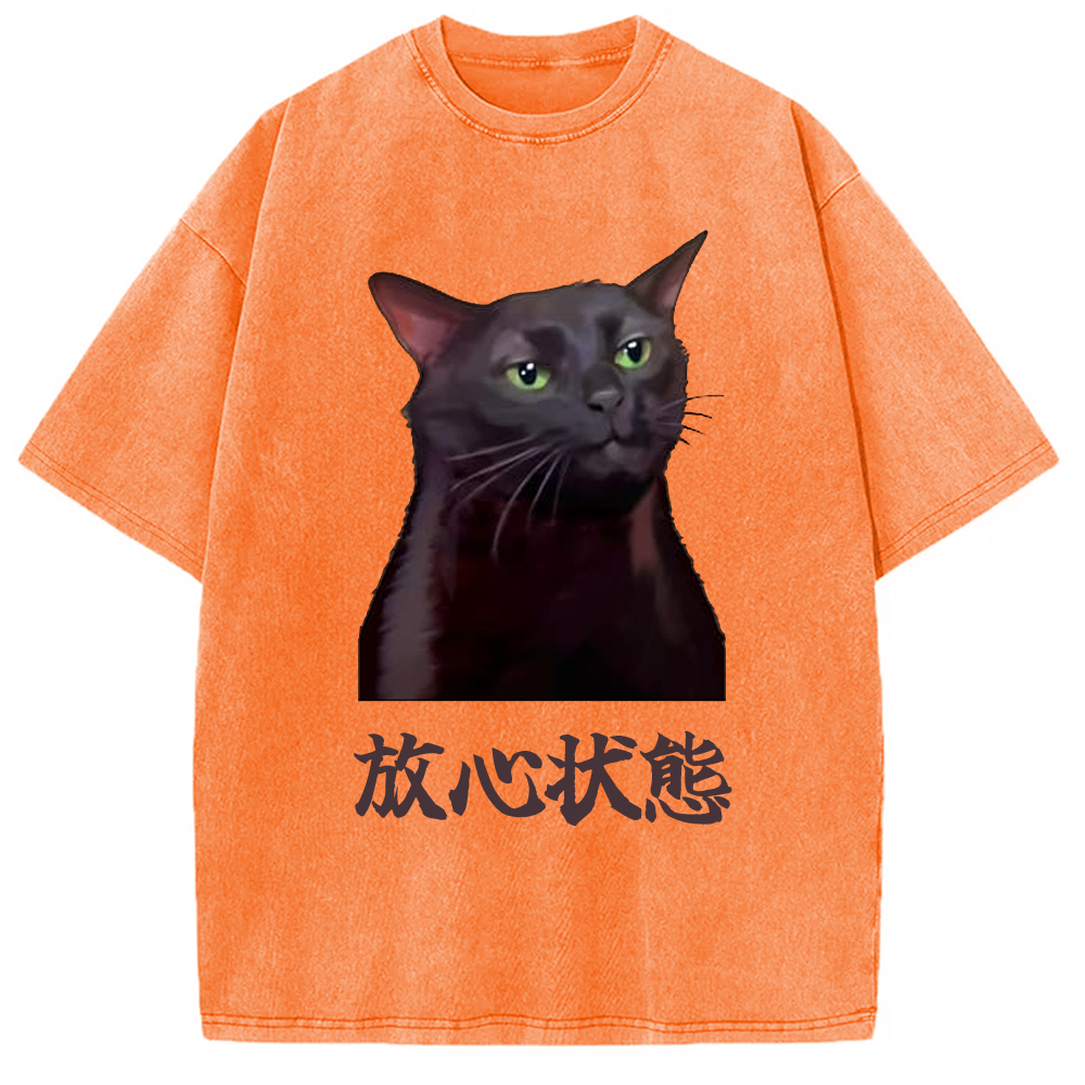 Tokyo-Assassin Black Cat Zoning Out Meme Washed T-Shirt-Tokyo-Assassin