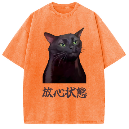 Tokyo-Assassin Black Cat Zoning Out Meme Washed T-Shirt-Tokyo-Assassin