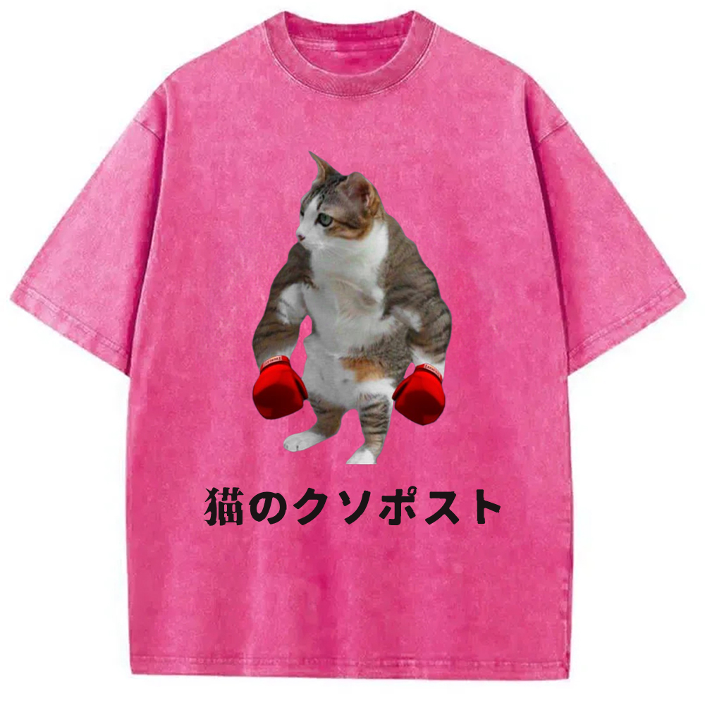 Tokyo-Assassin Cat Shitpost Meme Washed T-Shirt-Tokyo-Assassin