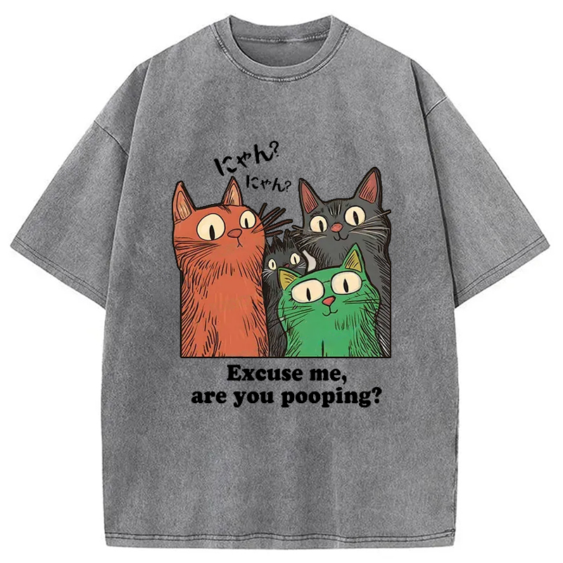 Tokyo-Assassin Cats Watching Poop Washed T-Shirt-Tokyo-Assassin