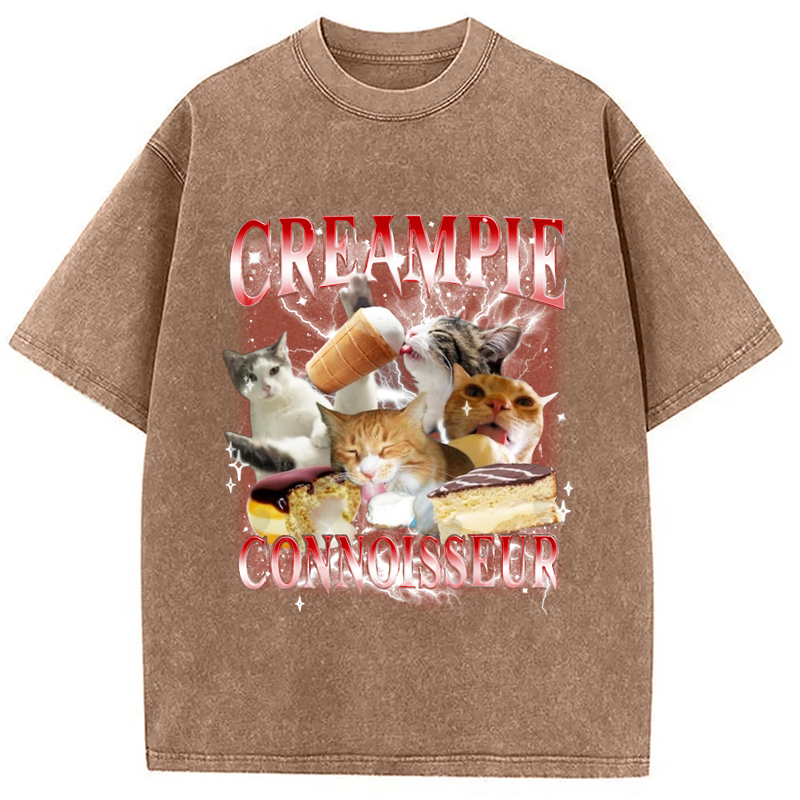 Tokyo-Assassin Funny Creampie Connoisseur Meme Washed T-Shirt-Tokyo-Assassin