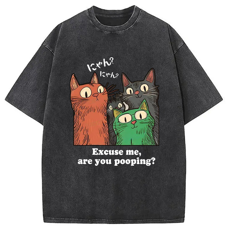 Tokyo-Assassin Cats Watching Poop Washed T-Shirt-Tokyo-Assassin