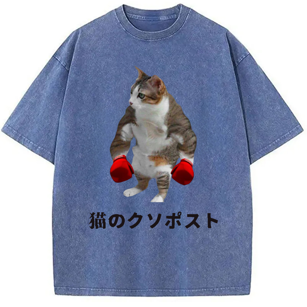 Tokyo-Assassin Cat Shitpost Meme Washed T-Shirt-Tokyo-Assassin