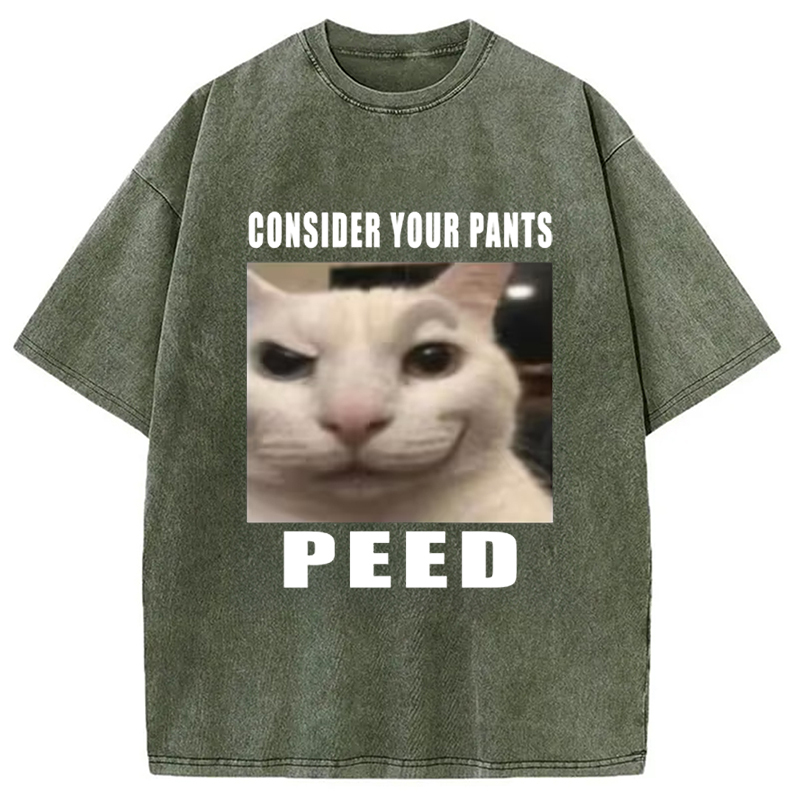 Tokyo-Assassin Consider Your Pants Peed Meme Washed T-Shirt-Tokyo-Assassin