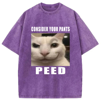 Tokyo-Assassin Consider Your Pants Peed Meme Washed T-Shirt-Tokyo-Assassin