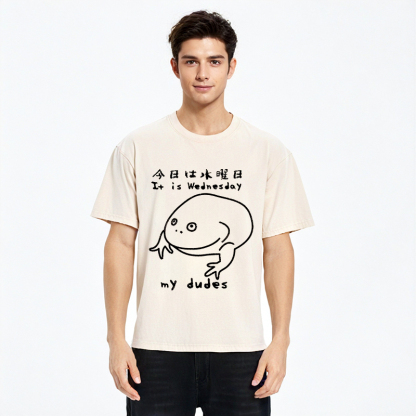 Tokyo-Assassin Today Is Wednesday Washed T-Shirt-Tokyo-Assassin