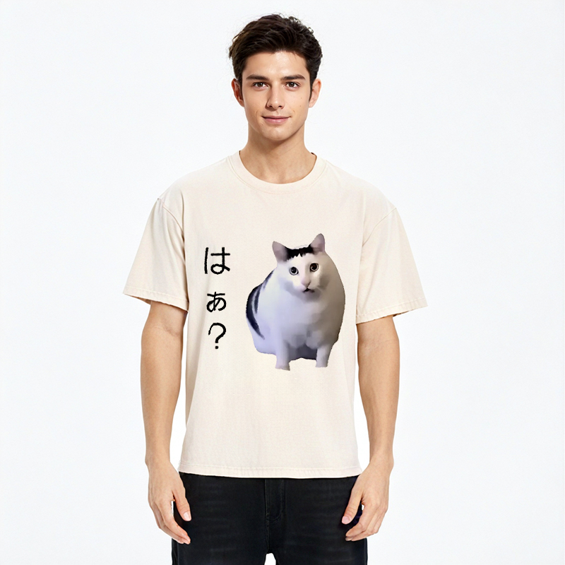 Tokyo-Assassin Suspicious Funny Cat Washed T-Shirt-Tokyo-Assassin