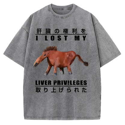 I Lost My Liver Privileges Vintage Washed T-shirt