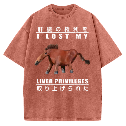 I Lost My Liver Privileges Vintage Washed T-shirt