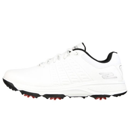 SkecTHEhers GO GOLF Torque 2