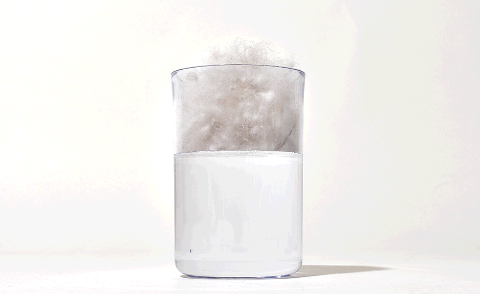 1638756500637753.gif 1638756500637753.gif