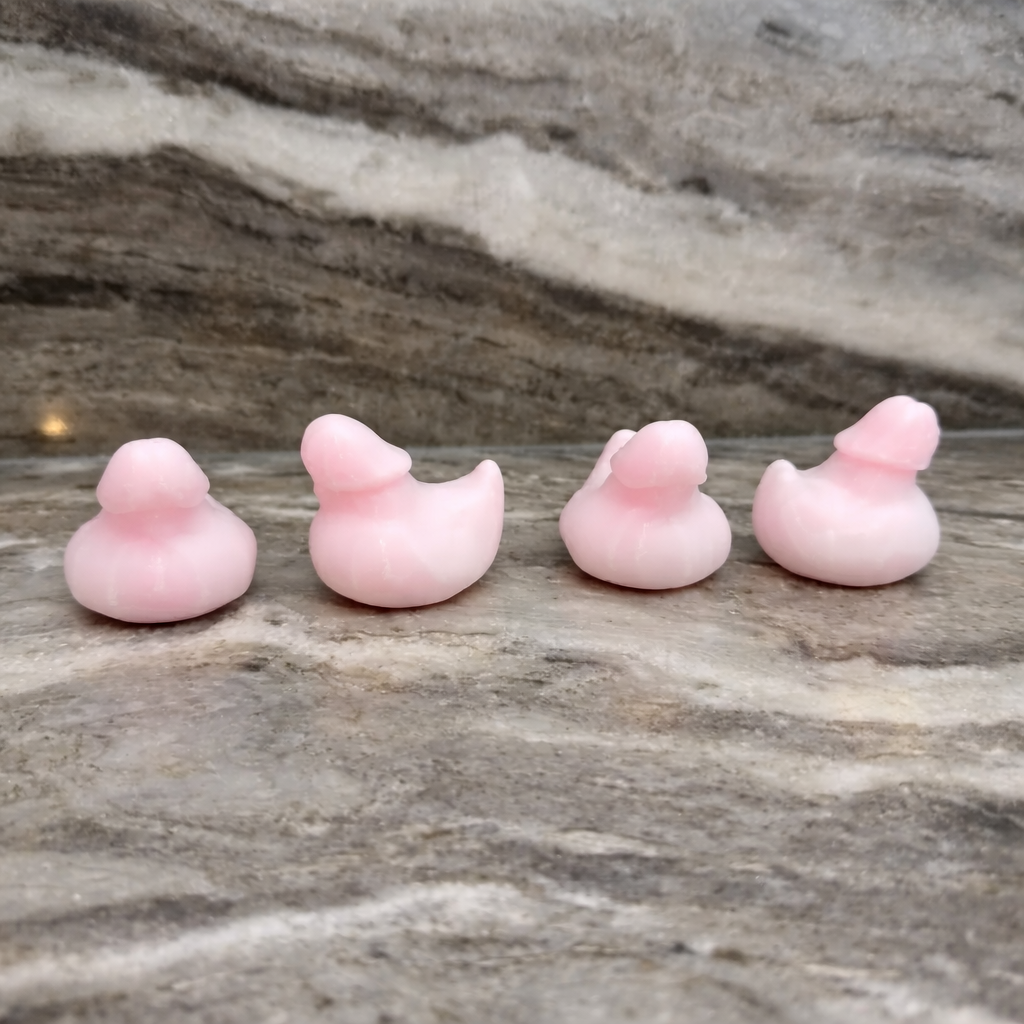 Mini Rubber Duck Squad