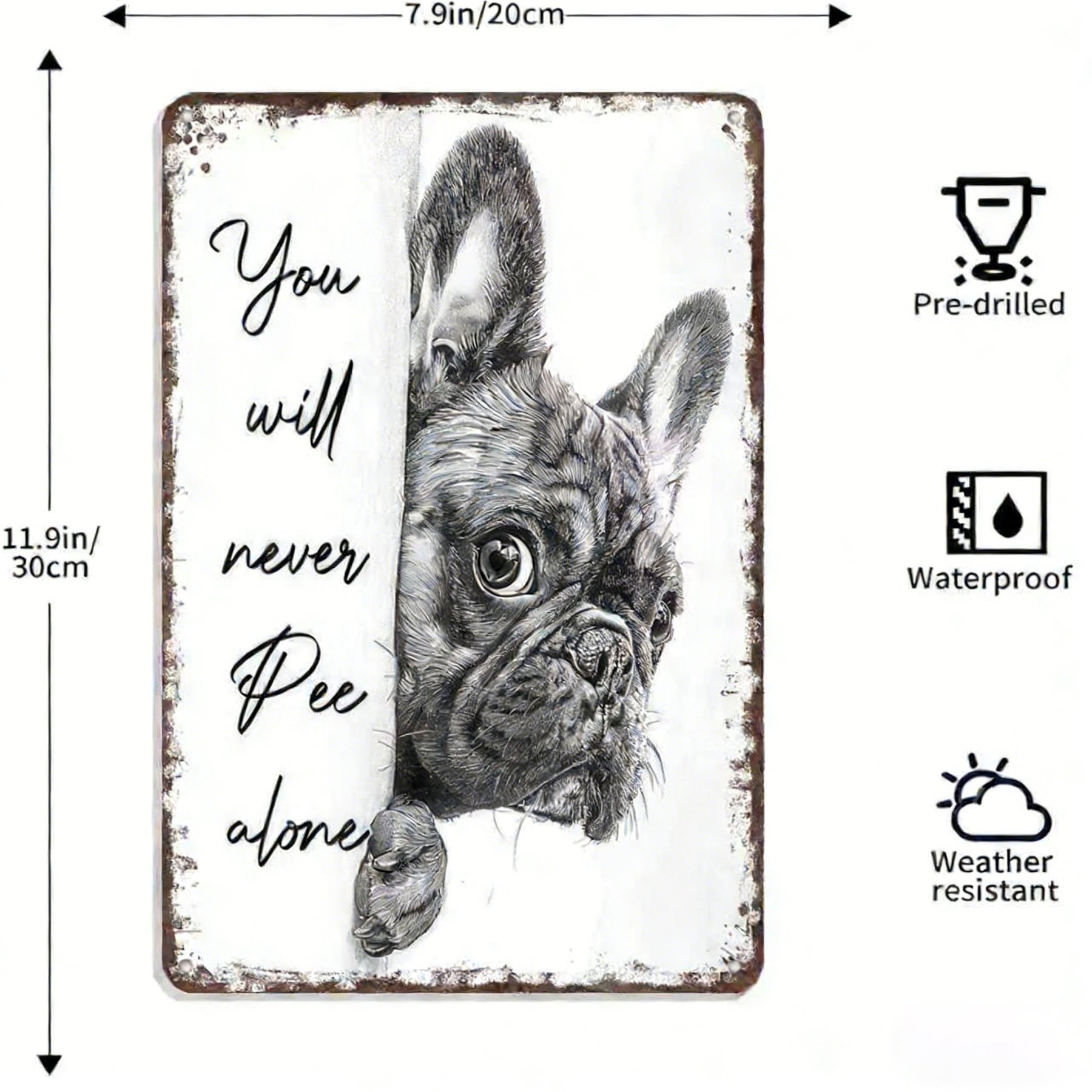 Vintage Black & White Cat Wall Art