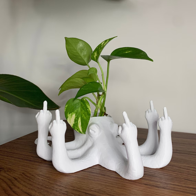 Fun octopus seeder