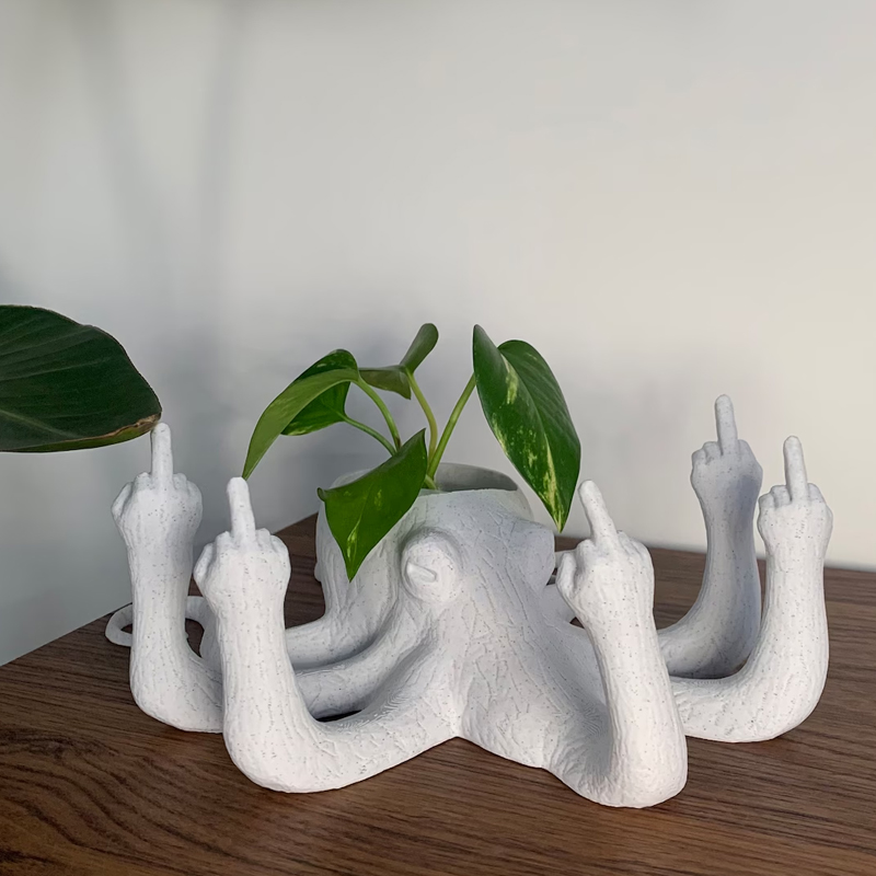 Fun octopus seeder
