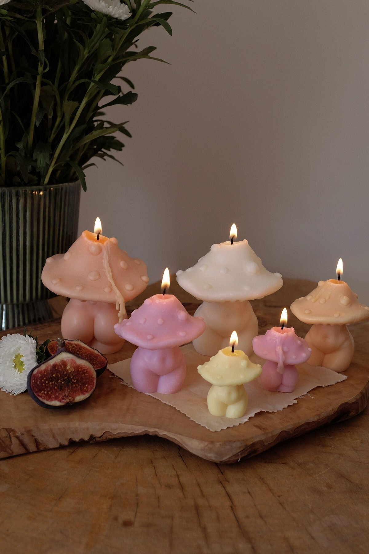 Mushroom Body Candle