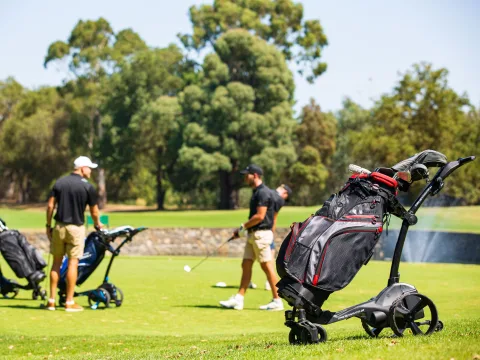 Why Choose an MGI Electric Golf Caddy?