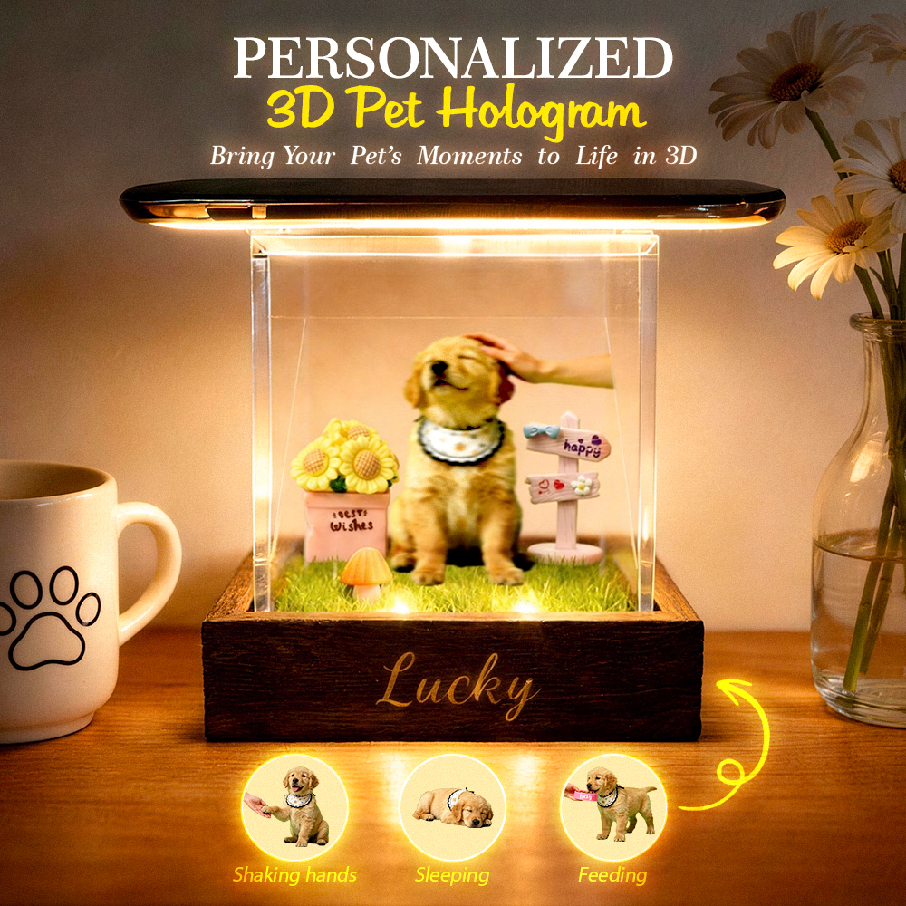 Hologram Boxes – Digital Pet Hologram House With Wooden Base