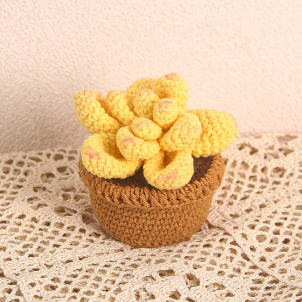 Succulent Crochet Potted Plants Completed Hand Woven Knitted Potted Plants Gift for Handicraft Lover - aiprintlab