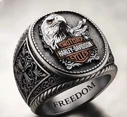 Custom Engraved Harley-Style Protection Ring – Your Personalized Shield Against the Unknown