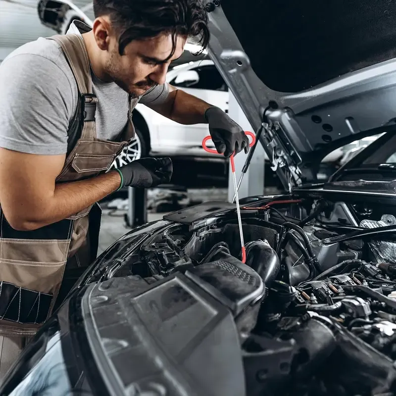 Portable Car Repair Tool Kit for Doors and Tires, Emergency Fastener Remover Air Wedge Pump with Storage Bag, Tire Repair Tools for Cars and Trucks