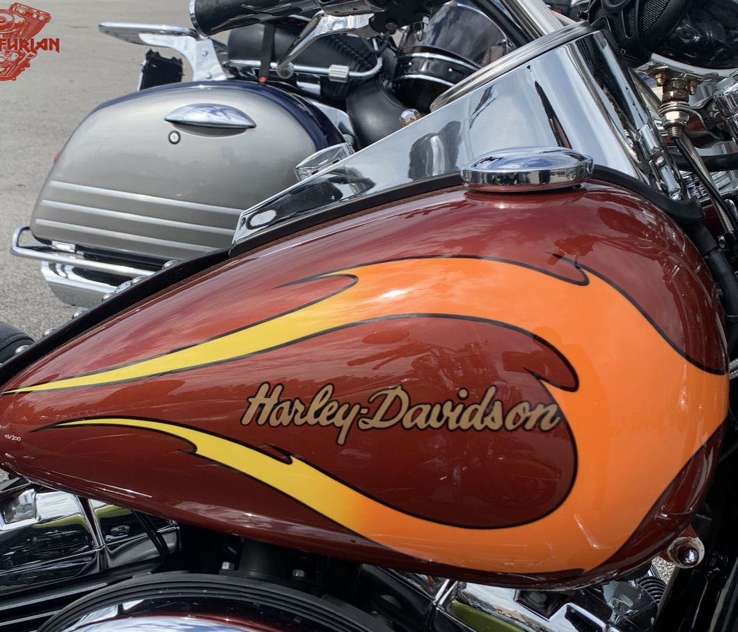 motorcycle gas tank decal 