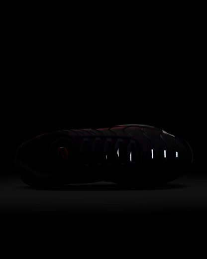 Nithtke Air Max Plus